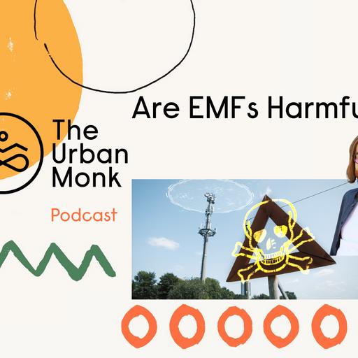 Are EMFs Actually Harmful?