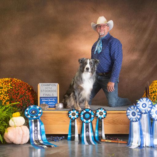 True Versatility - Working Ranch dogs - Winning Trial dogs with Tom Collins