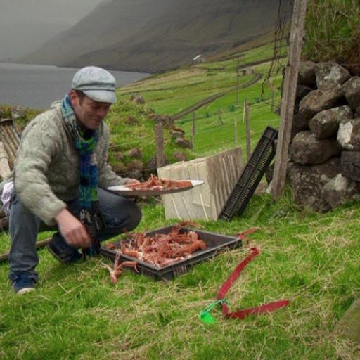 Spískamarið í Borðoy