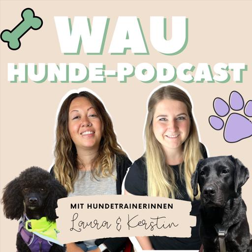 #119 Drei Gründe warum dein Hund nicht leinenführig ist