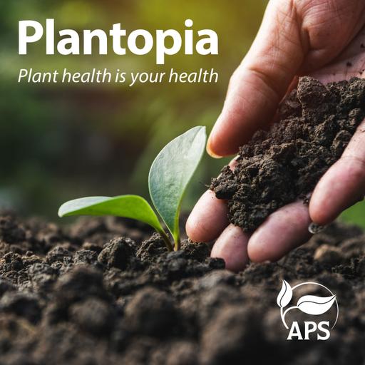 Plants Get Parasitic Worms Too