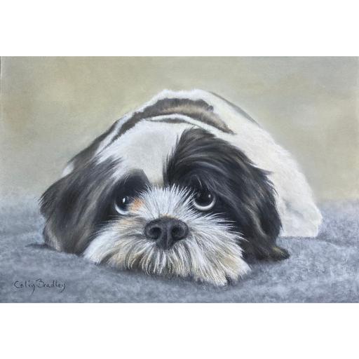 Episode 424: Finished Laying Dog