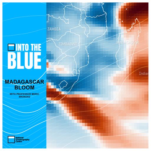 How an Unusual 'Bloom' Positively Affected Marine Life and the Atmosphere | Into the Blue Podcast