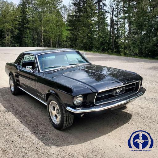 A Mustang for the Wedding, Jonathan Burke Interview