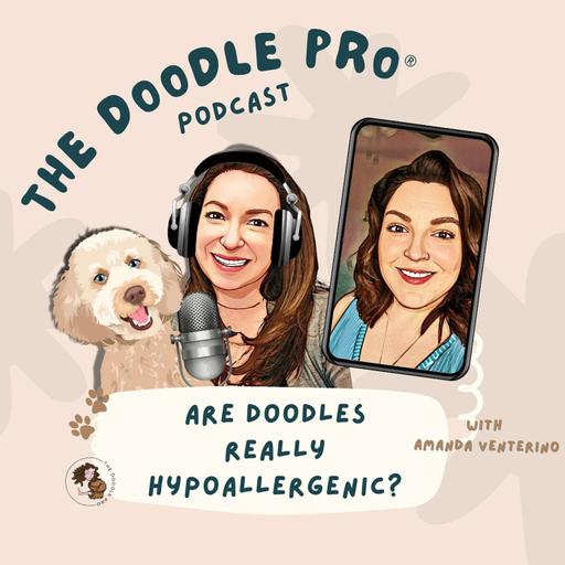 62: Are Doodles REALLY Hypoallergenic? The Science Behind Dog Allergies with Amanda Venturino