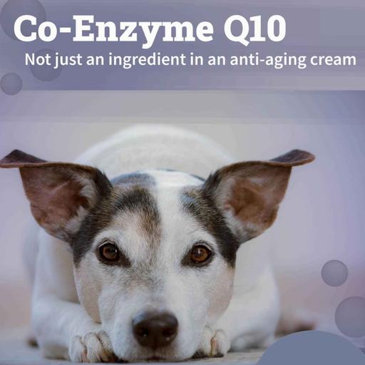 Co-Enzyme Q10
