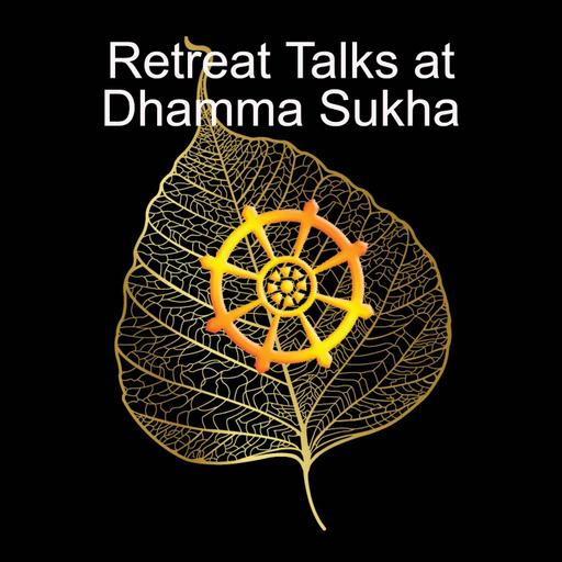Contact and Existence w Delson Armstrong Sunday Sutta Session Feb 9 2025