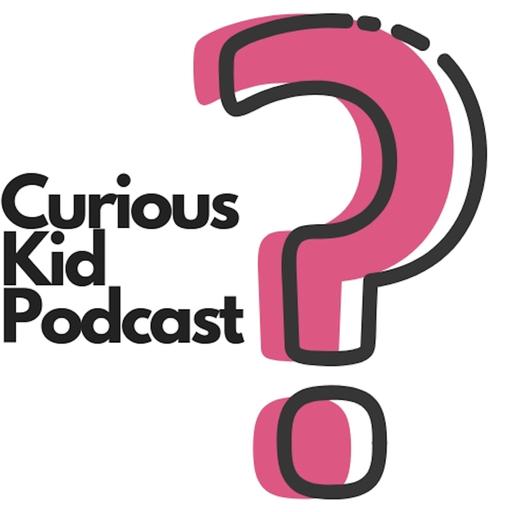 Curious About Archaeology