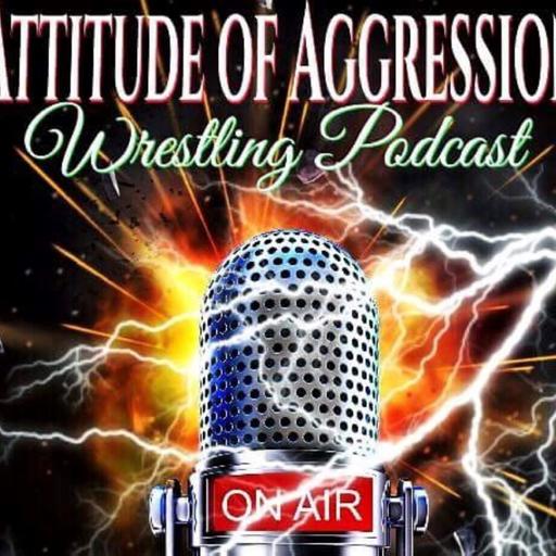 Attitude Of Aggression #303- The Big Five Project: Royal Rumble '95