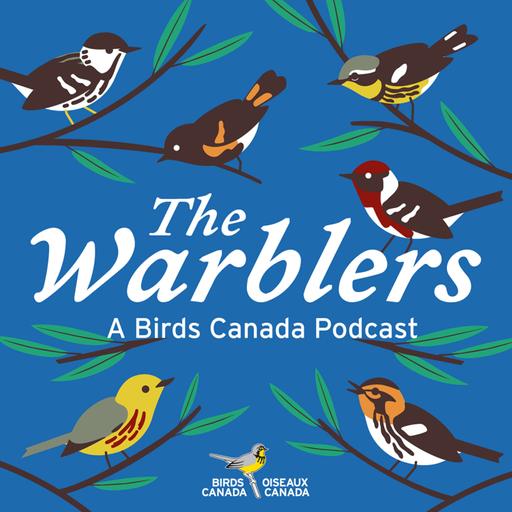Point Counts and Missing Pots: The Adventures of Bird Atlassing