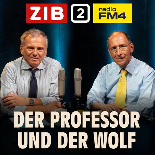 Der Professor und der Wolf: Die Dreierkoalition