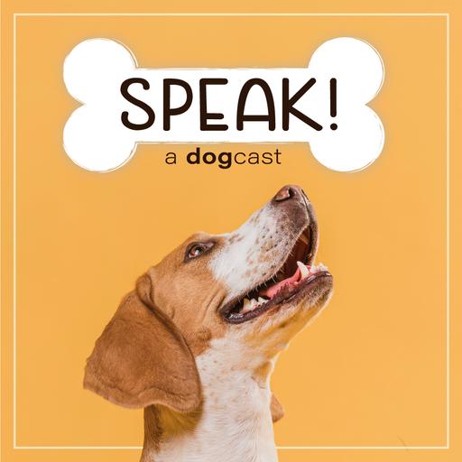Ep. 201 - What Is Your Dog Thinking?