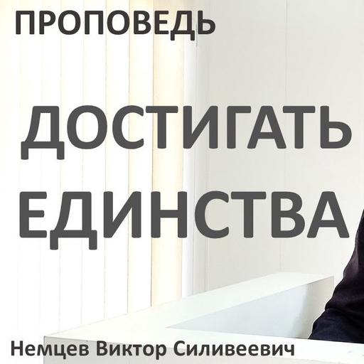 Достигать единства — Виктор С. Немцев