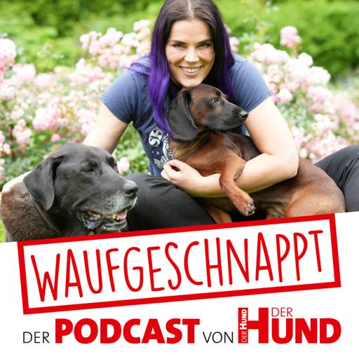 Die Bedeutung von Berührungen - Maren Grote