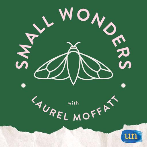 Introducing Small Wonders season 4