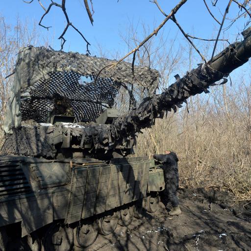 So könnte die Friedenstruppe für die Ukraine aussehen