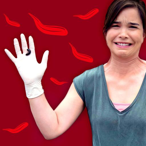 Blutegel – Blutsaugende Würmer und medizinische Wunderwaffe