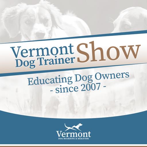 How to Use Play to Help Nervous Dogs - Talking Dogs Radio Show