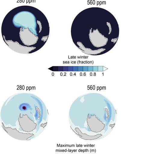 Isabel Montañez on Using the Late Paleozoic Ice Age as an Analog for Present Day Climate