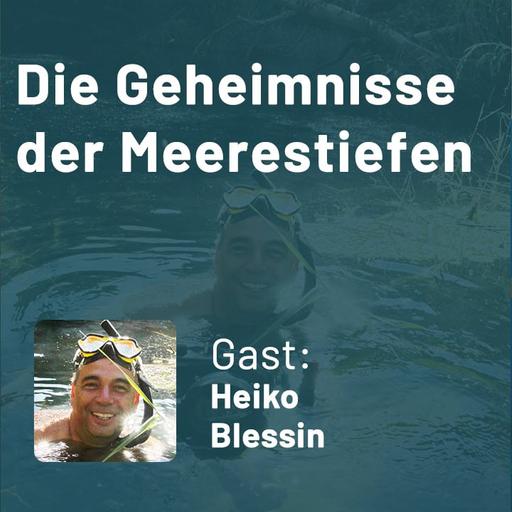 400: Die Geheimnisse der Meerestiefen - Entdecke faszinierende Wesen, ihre Lebensbedingungen und die Herausforderungen der Aquaristik (Heiko Blessin)