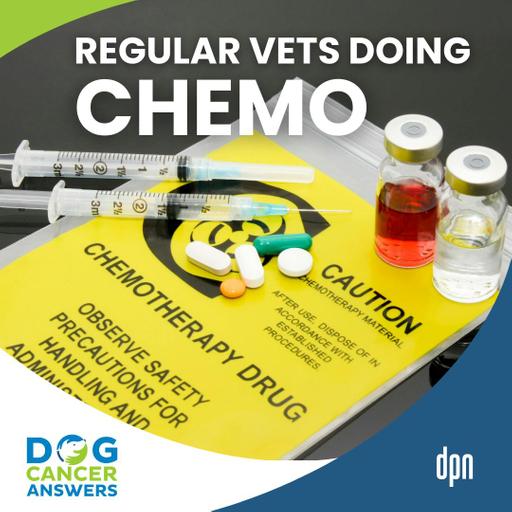 Where to Get Dog Chemotherapy: General Practice Veterinarians Can Do Chemo | Dr. Kristen Lester #277