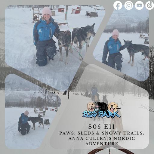 The Big Bark - S05E11 Episode #88 - Paws, Sleds & Snowy Trails