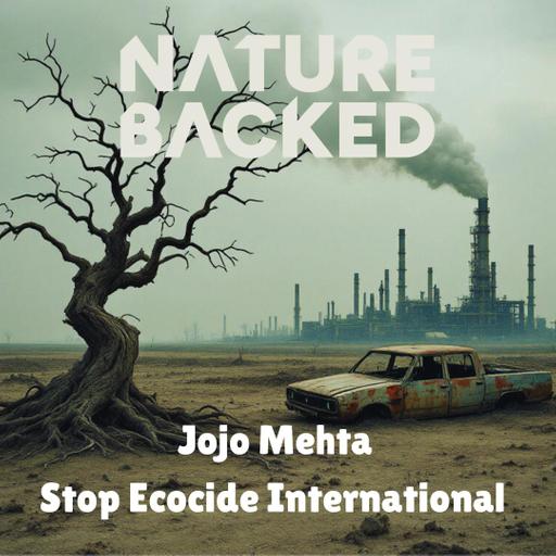 Ecocide: A New Frontier in Environmental Law