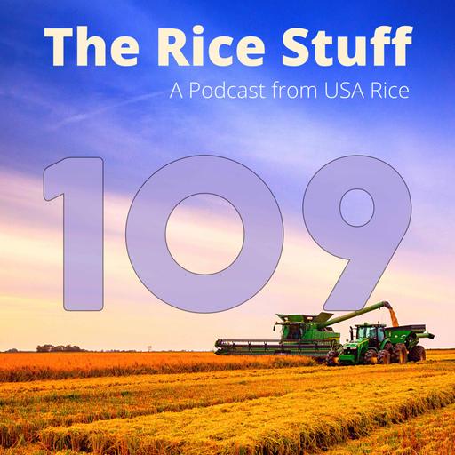 #109 E-commerce Evolution and the Future of Retail