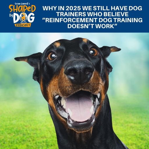 Why In 2025 We Still Have Dog Trainers Who Believe “Reinforcement Dog Training Doesn’t Work“ #297