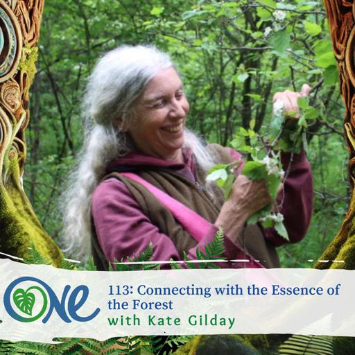 Connecting with the Essence of the Forest with Kate Gilday