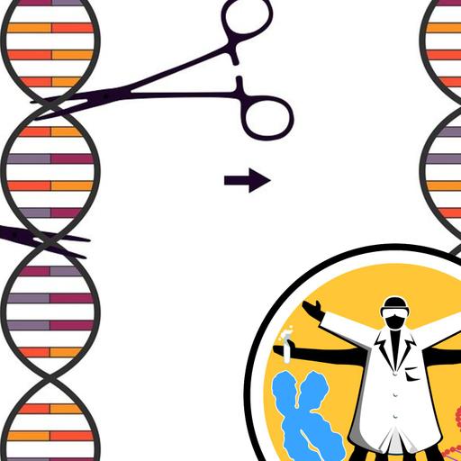 CRISPR: the cutting edge of gene editing