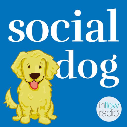 #174: A Dedication To Difficult Dogs with Author Dr. Dennis Wormald (Rebroadcast)