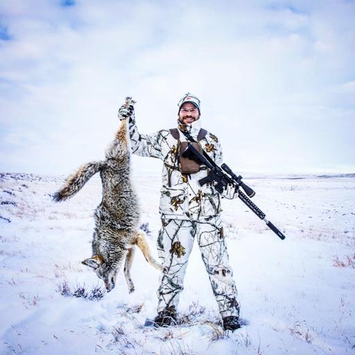 Best Varmint & Predator Cartridges