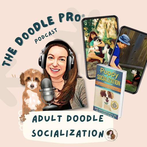 64: Adult Doodle Socialization: Expert Tips & Q&A with Authors Marge Rogers & Eileen Anderson