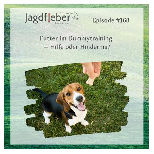 P168: Futter im Dummytraining – Hilfe oder Hindernis?