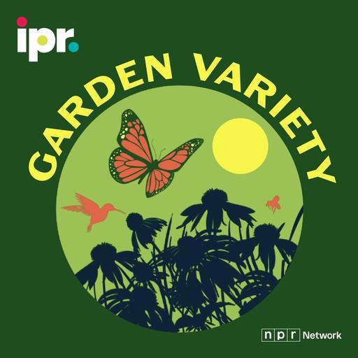 Prune-in to this show for fruit tree tips