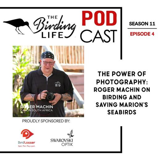 TBL Podcast Season 11 Episode 4 - The Power of Photography: Roger Machin on Birding and Saving Marion’s Seabirds