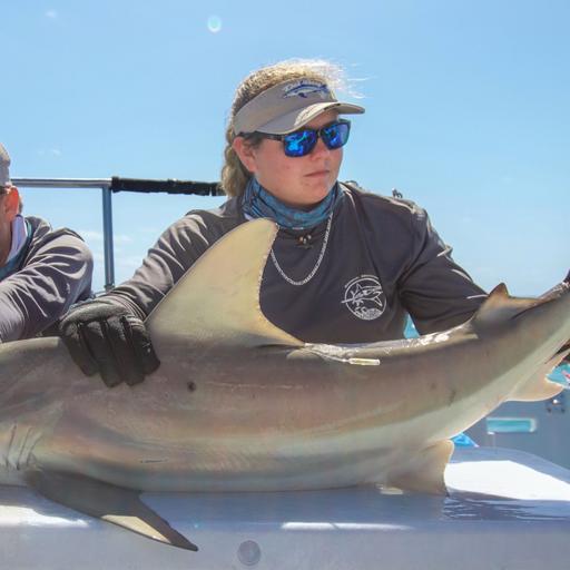 301 - Untangling the movement and habitat use of Atlantic guitarfish in South Florida with Jenny Norcross