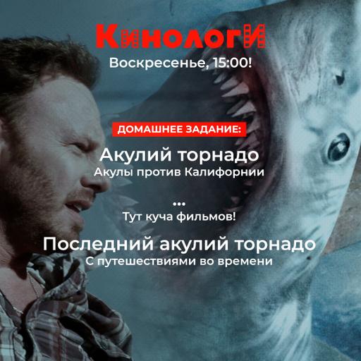 Кинологи 20250316. Спешл «Акульего торнадо»