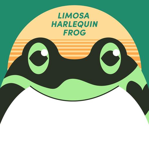 Limosa Harlequin Frog | Week of Dartch 17th