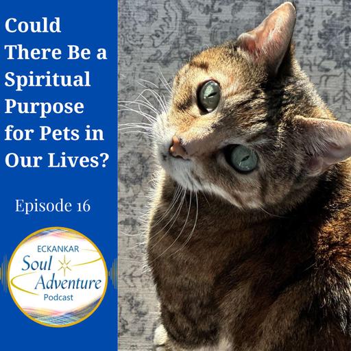 Could There Be a Spiritual Purpose for Pets in Our Lives?