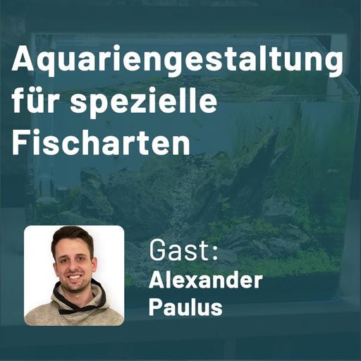 Aquariengestaltung für spezielle Fischarten – Biotope vs. Aquascaping (Alexander Paulus)