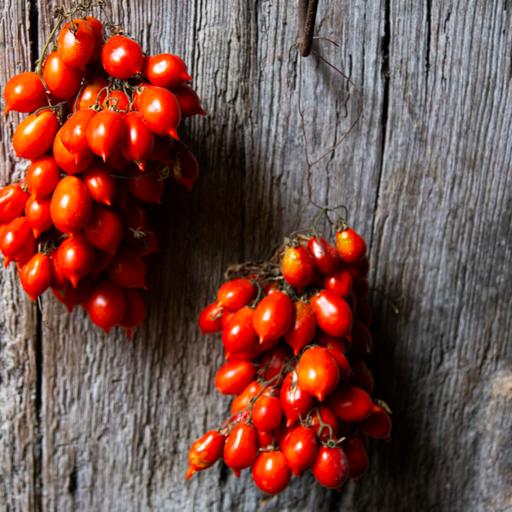 Choose seeds now for tomatoes that last in storage 6 months after harvest