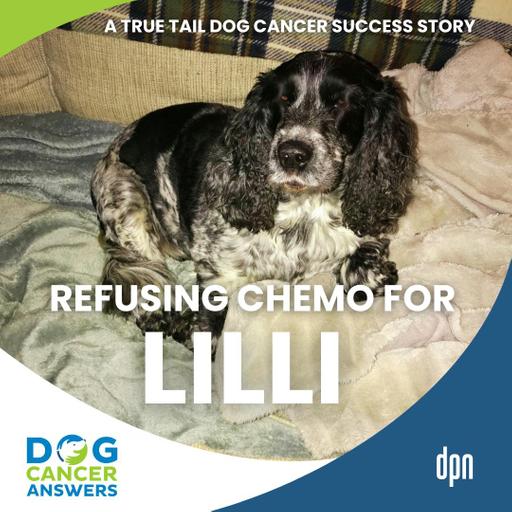 Dog Cancer Success Story: Refusing Chemo for Lilli | John Mcleish #278