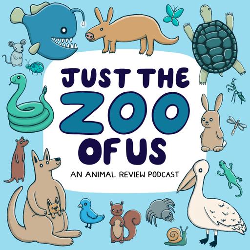 280: Eastern Gray Squirrel & Budgerigar (aka Parakeet)