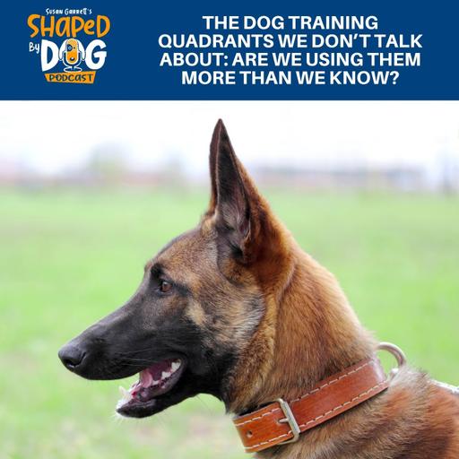The Dog Training Quadrants We Don’t Talk About: Are We Using Them More Than We Know? #298