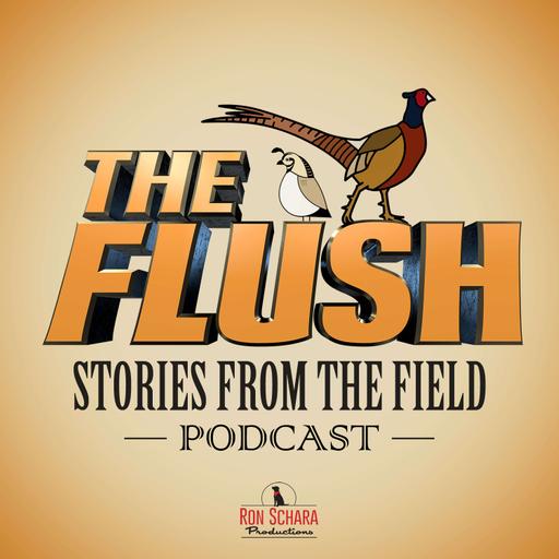 Stories from our Listeners (Part 2)