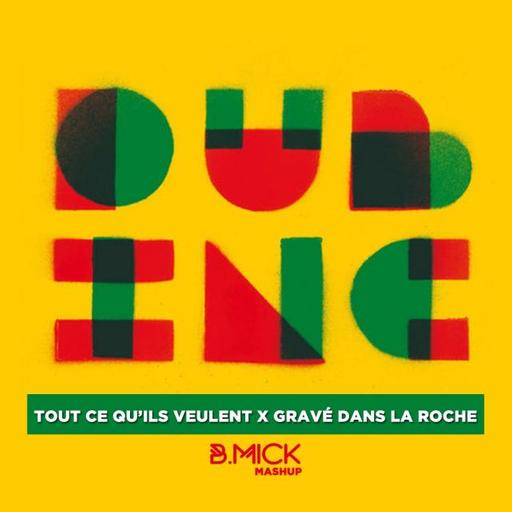 Dub Inc x Sniper - Tout ce qu'ils veulent dans la roche (B.Mick Mashup)