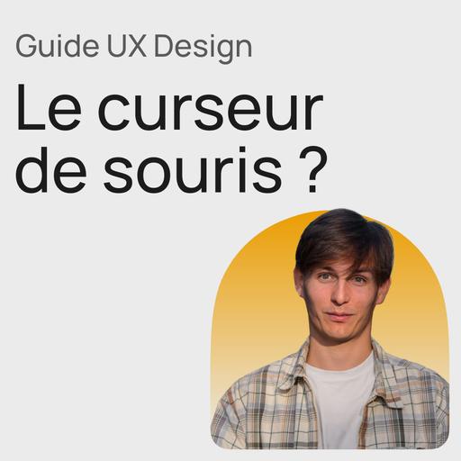 #369 Guide UX : Curseur de souris natif et custom ?