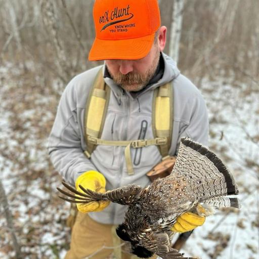 Endless bird dog stories with onX